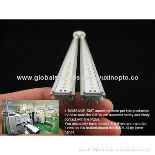 16W 2G11 LED PLL Lamps with CE and RoHS Certificates